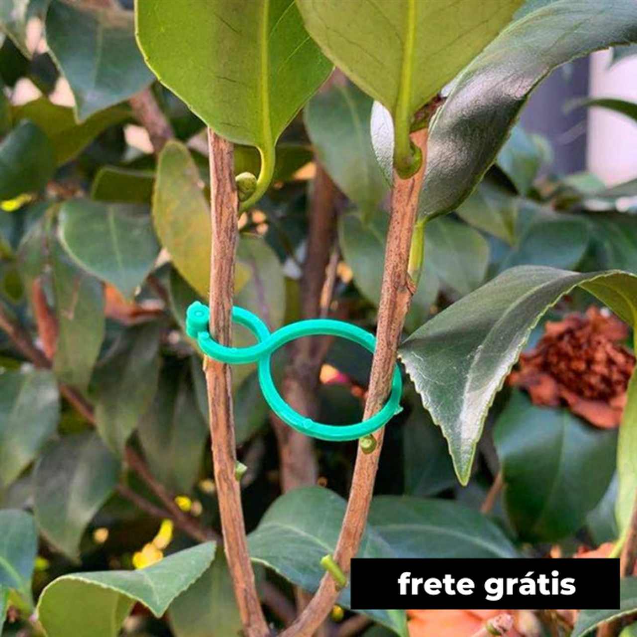 Clipes Suporte Para Plantas, Trepadeiras, Jardins - (Kit Promocional com 100 unidades) - Image 2