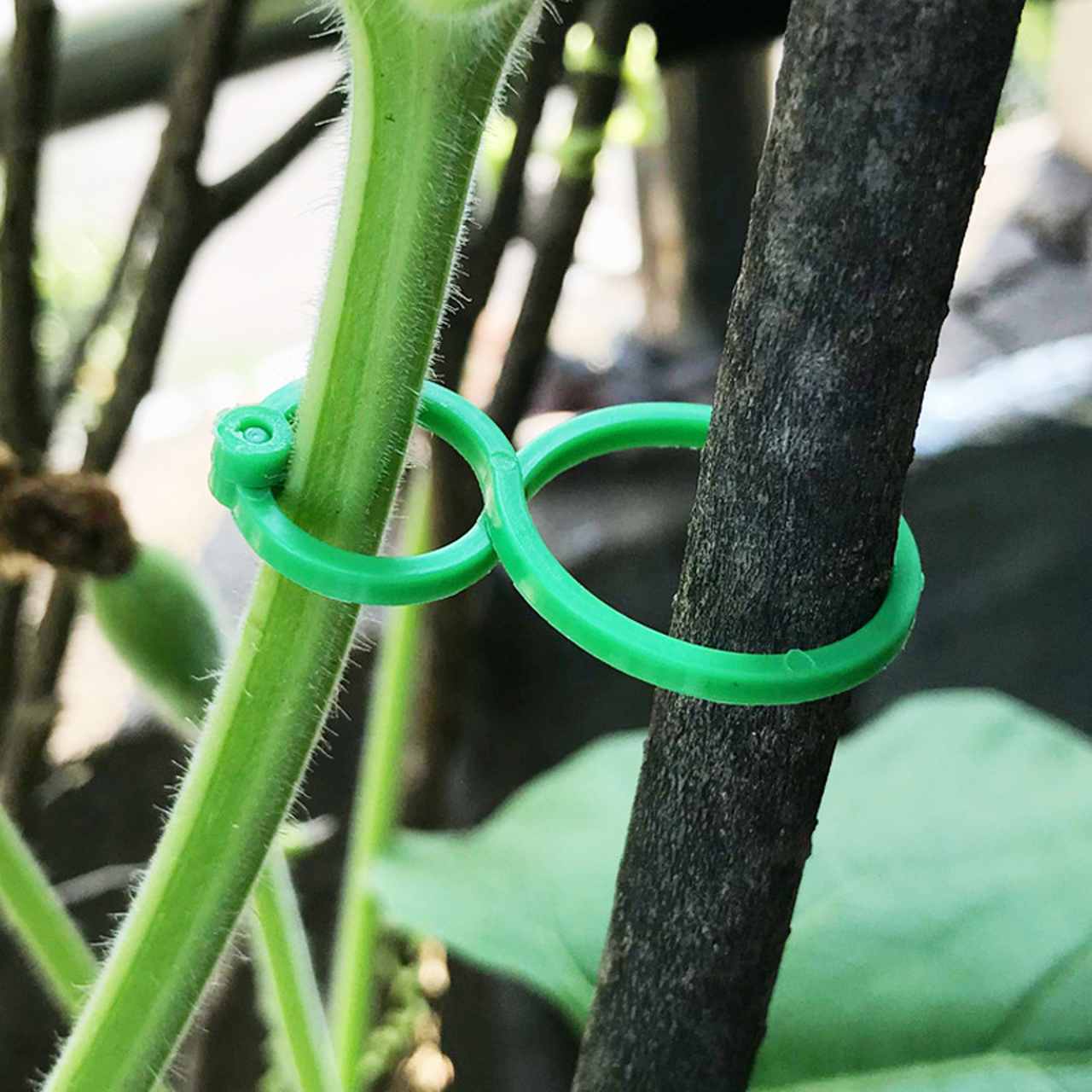 Clipes Suporte Para Plantas, Trepadeiras, Jardins - (Kit Promocional com 100 unidades) - Image 3