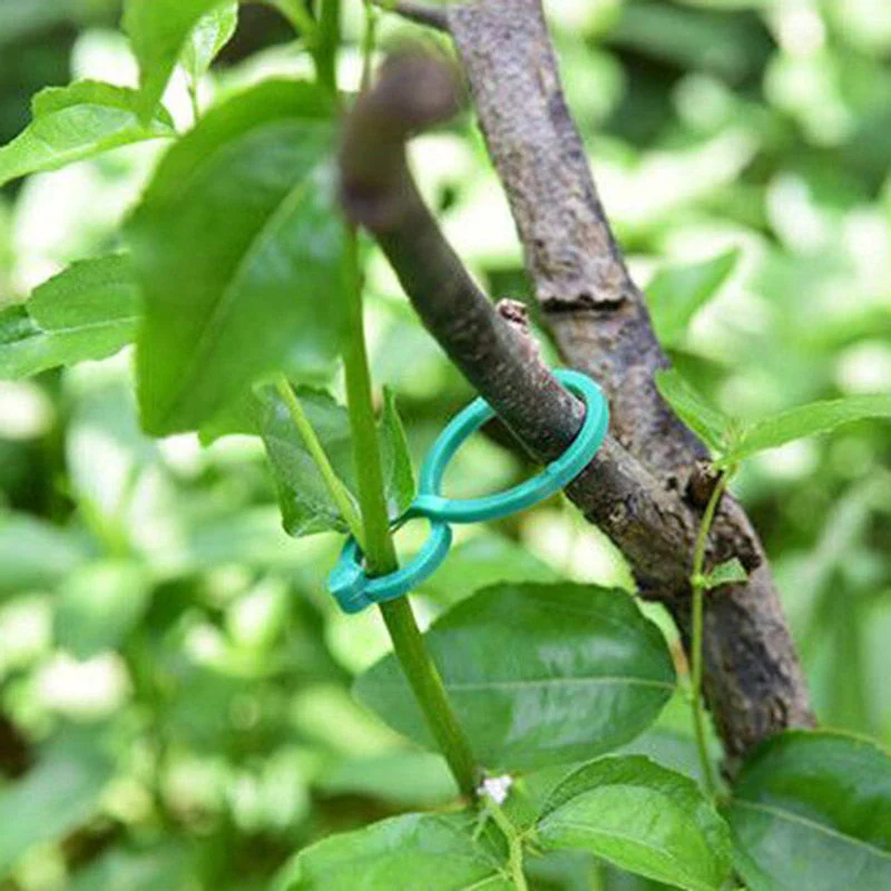 Clipes Suporte Para Plantas, Trepadeiras, Jardins - (Kit Promocional com 100 unidades) - Image 4