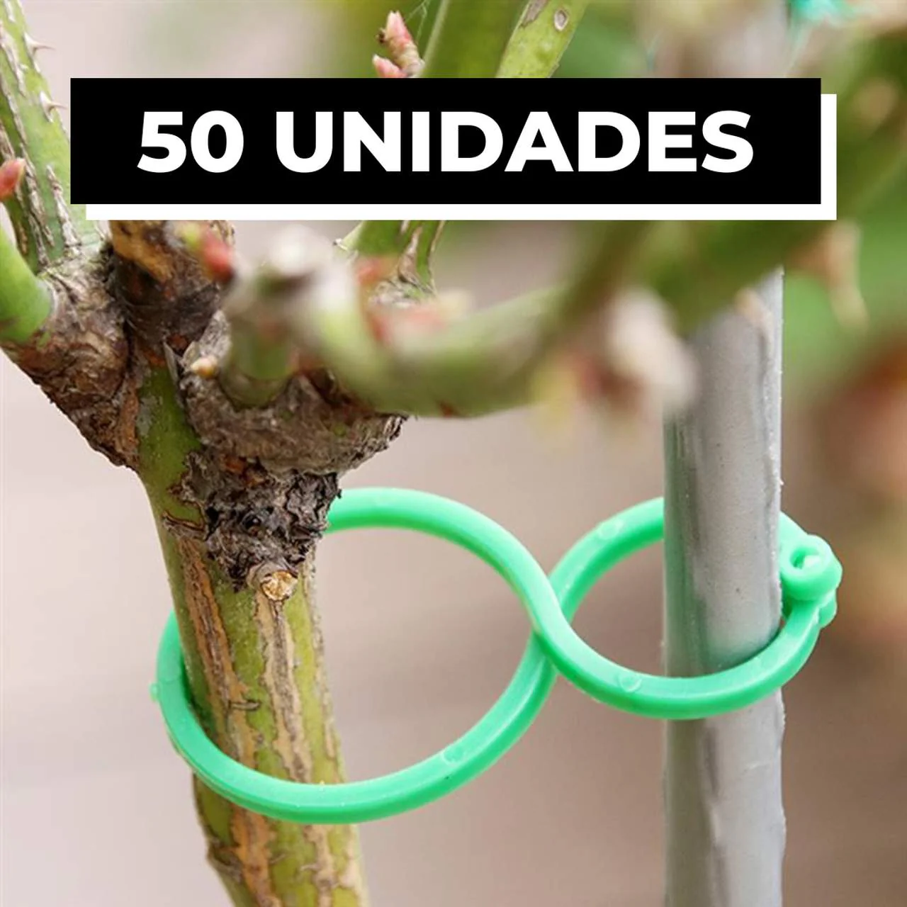 Clipes Suporte Para Plantas, Trepadeiras, Jardins - (Kit Promocional com 100 unidades) - Image 9